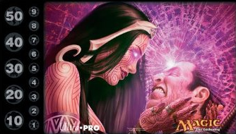 MTG Ultra Pro 2011 Liliana's Caress Playmat